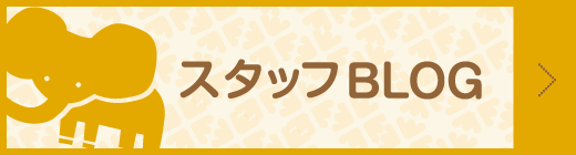 スタッフBLOG